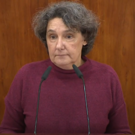 La directora del Instituto de la Mujer, Beatriz Gimeno. / CAPTURA YOUTUBE