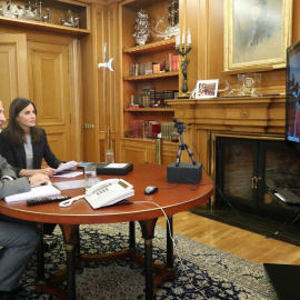 Rey videoconferencia Cruz Roja