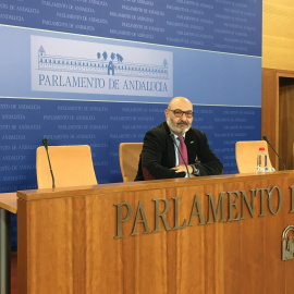 Alejandro Hernández, portavoz de Vox en el Parlamento de Andalucía. Europa Press