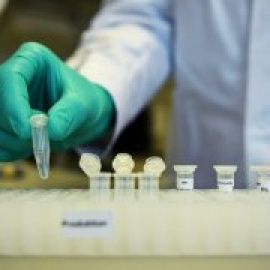 El Gobierno destina 30 millones para investigar la vacuna del Covid-19