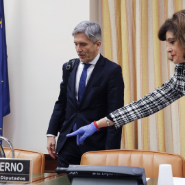 El ministro del Interior, Fernando Grande-Marlaska, a su llegada para comparecer ante la Comisión de Interior del Congreso de los Diputados para dar cuenta de la gestión de su departamento en la crisis del coronavirus y tras la polémica suscitada por l
