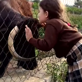 La vaca Margarita con una vecina del pueblo.