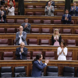 Ingreso mínimo vital en el Congreso