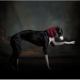 Una de las fotografías contra la covid: 'Mora', de la serie TRIBUS urbanas. Laura León