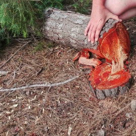 Las obras en la Renegà, denunciadas por los movimientos ecologistas. / SALVEM LA RENEGÀ