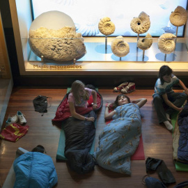 Imagen tomada en 2013 en el Museo Nacional de Ciencias Naturales de Madrid, donde niños y niñas podían pasar una noche. / Olmo Calvo / SINC