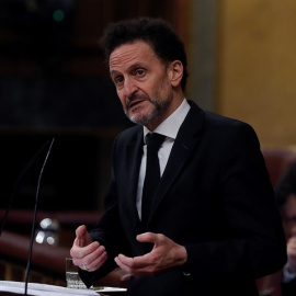 El diputado de Ciudadanos Edmundo Bal durante su intervención en el pleno del Congreso. / EFE - J.J. GUILLÉN