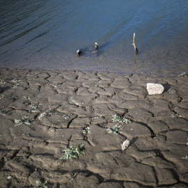  Vista del pantano de Rialb, a 24 de noviembre de 2022, en Barcelona, Catalunya (España). La Generalitat ha declarado la alerta por sequía en las cuenca del Ter-Llobregat (Barcelona), que abastece el área metropolitana de Barcelona, y Darnius-Boadella 