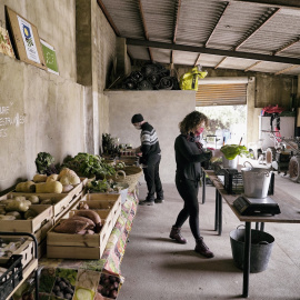 Fotograma de 'Renaixem'./ David Segarra