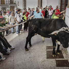 Una imagen del documental Santa Fiesta, durante la fiesta de los Toros de San Marcos, en Ohanes. JIM MCLAREN
