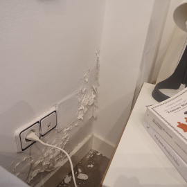  La humedad que describe el autor en el artículo.- ISRAEL MERINO