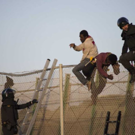 Varios inmigrantes subsaharianos tratan de cruzar la valla fronteriza de Melilla.-  REUTERS/ARCHIVO