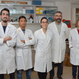 El proyecto liderado por José Gallego, de la Fundación Universidad Católica de Valencia San Vicente Mártir. Una de las seis iniciativas de investigación e innovación seleccionadas en el programa CaixaImpulse.