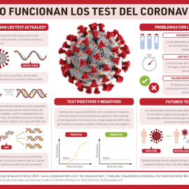 ¿Cómo funcionan los test del coronavirus?/ Compound Interest