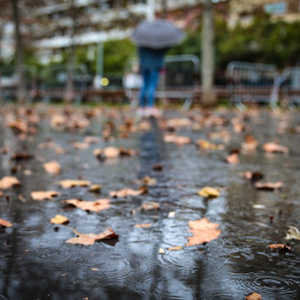  Varias hojas en el suelo a causa de la lluvia, a 17 de enero de 2023, en Barcelona, Catalunya (España). Foto: Kike Rincón / Europa Press