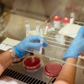 Cada proyecto ganador, en la primera convocatoria de CaixaImpulse Consolidate, recibe una ayuda económica de hasta 300.000 euros.