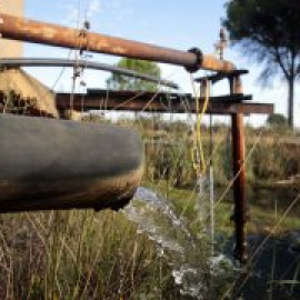 Objetivo: salvar Doñana