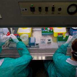 Personal sanitario trabaja con muestras en un laboratorio.EFE/Enric Fontcuberta