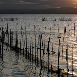  Imagen de La Albufera. (EFE/Kai Försterling)