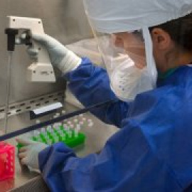 Un equip de científics catalans participa en la recerca de la vacuna contra el coronavirus