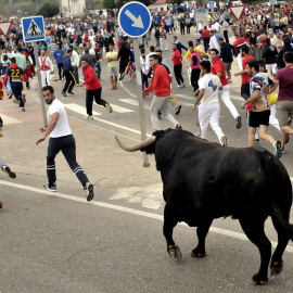 El morlaco de nombre "Pelado" protagoniza la celebración del Toro de la Peña, en Tordesillas (Valladolid), sustituto del prohibido Toro de la Vega. Cinco siglos después, la villa de Tordesillas (Valladolid) celebra hoy sus fiestas patronales sin su tra