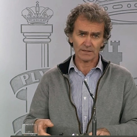 Fernando Simón durante una telecomparecencia. EFE