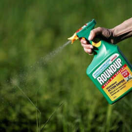  Envases del herbicida Roundup, de Monsanto, que contiene glifosato. REUTERS/Benoit Tessier
