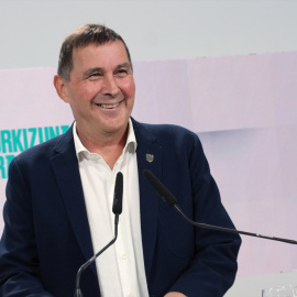 El coordinador general de EH Bildu, Arnaldo Otegi, al anunciar que no se presentará a lehendakari este 27 de noviembre de 2023. Unanue / Europa Press