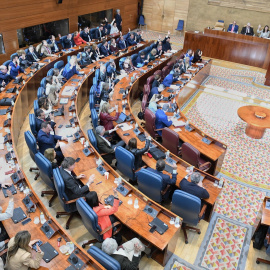  Parte de la bancada durante el pleno en la Asamblea de Madrid, a 22 de diciembre de 2023, en Madrid / Europa Press