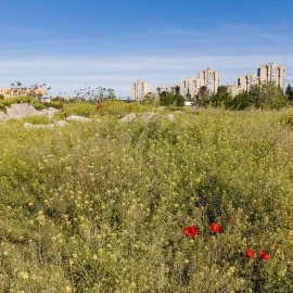  Carlos Luján / Europa Press