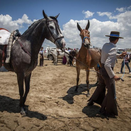Imagen de la romería del Rocío de este año / EFE