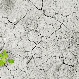 El equipo de investigadores de Helmholtz constató que los veranos tanto de 2018 como de 2019 fueron más secos que el promedio. / PIXABAY