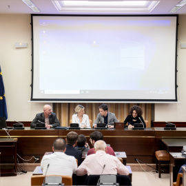 Reunión del Grupo Parlamentario de Sumar en el Congreso de los Diputados.- A. Pérez Meca / Europa Press