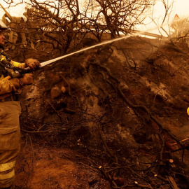 Un bombero acaba de sofocar el incendio que ha afectado este domingo a la urbanización La Quinta en el municipio de Santa Úrsula, en Tenerife. EFE/Ramón de la rocha