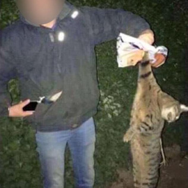 Imagen en la que uno de los alumnos posa con el cadáver de un gato