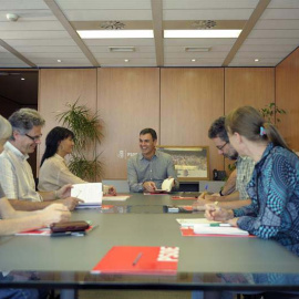 Fotografía facilitada por el PSOE, del secretario general, Pedro Sánchez (al fondo), que ha mantenido un encuentro con los principales responsables en España de las principales organizaciones ecologistas. | EFE