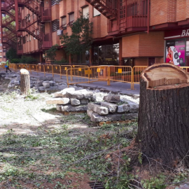 Tala de árboles en calle Marques de Lozoya (Madrid)