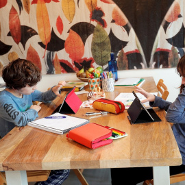 Dos alumnos de primaria realizan las tareas escolares desde casa gracias a las tecnologías modernas que permiten la educación "online" durante el estado de alarma decretado por la crisis del coronavirus. EFE/Kai Försterling