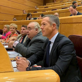 Bancada socialista en el Senado, con el portavoz, Ander Gil, en primer plano. EUROPA PRESS/Archivo.