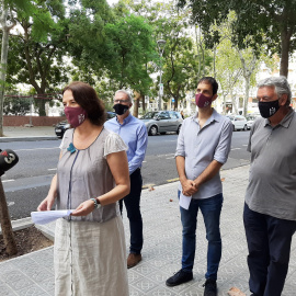 La presidenta de l'ANC, Elisenda Paluzie, durant la intervenció als mitjans. TWITTER