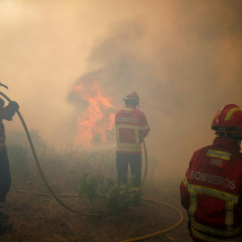 Tres bomberos trabajan para apagar las llamas en el bosque de Capelo, cerca de Gois. | RAFAEL MARCHANTE (EFE)