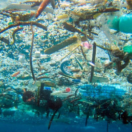 Plásticos en las profundidades de mares y océanos / EFE