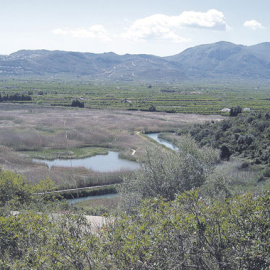 Imatge dels terrenys on es projecte el camp de golf de Pego.