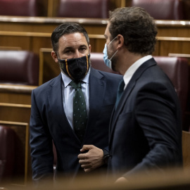 El presidente y el portavoz de Vox, Santiago Abascal e Iván Espinosa de los Monteros, charlan antes del inicio de una sesión plenaria en el Congreso. E.P./Pool