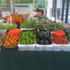 Los recortes de PP y Cs han fulminado el proyecto de huertas ecológicas y producción de kilómetro cero de Zaragoza. / AYUNTAMIENTO DE ZARAGOZA