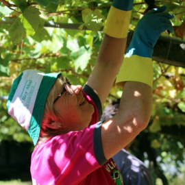 La mujer realiza labores de poda, labranza y recogida de leña y de fruta / ALBA TOMÉ