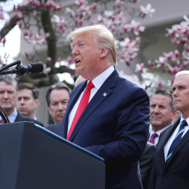 El presidente de EEUU, Donald Trump, comparece en los jardines de la Casa Blanca para declarar la emergencia en EEUU. /EFE