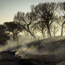 El paraje de la Cuesta de Maneli tras el incendio originado el sábado en Mazagon. EFE