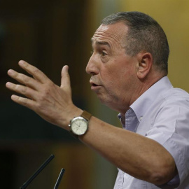 El diputado de Compromís Joan Baldoví, interviene hoy durante el pleno del Congreso de los Diputados. /EFE