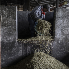 Un trabajador carga granos de café en una planta de procesamiento de café en Ciudad Bolívar, departamento de Antioquia, Colombia. (JOAQUIN SARMIENTO / AFP)